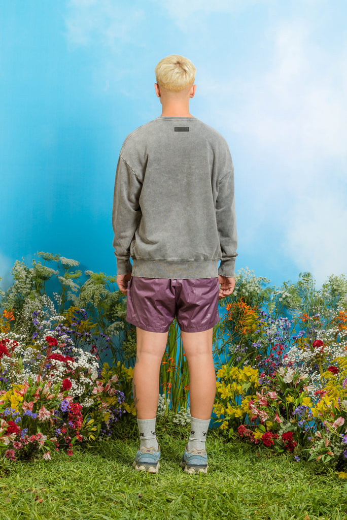 Crewneck Vintage Mineral - Gris CHOMPAS THE LOST BOYS 